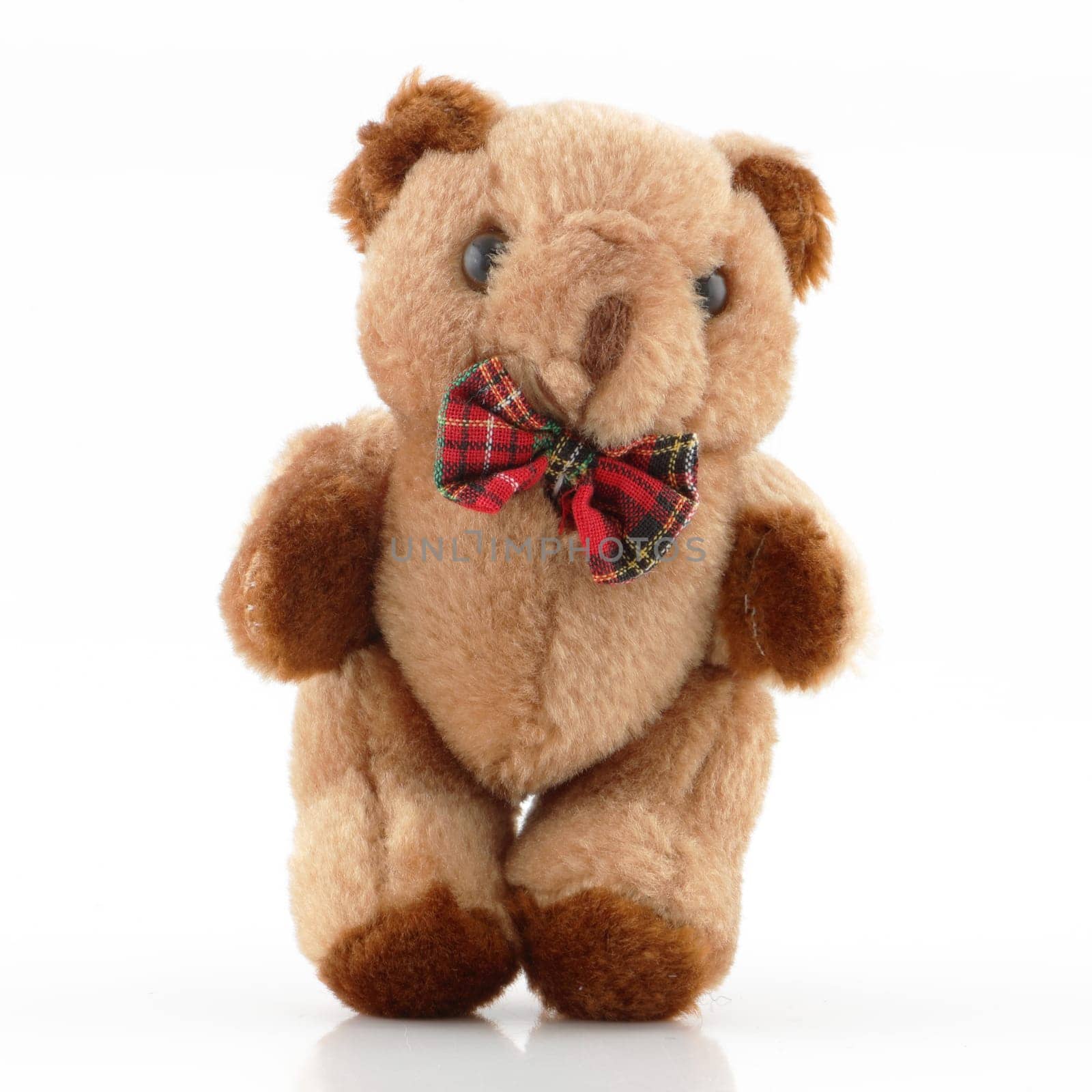 A small Teddy Bear with tartan bow