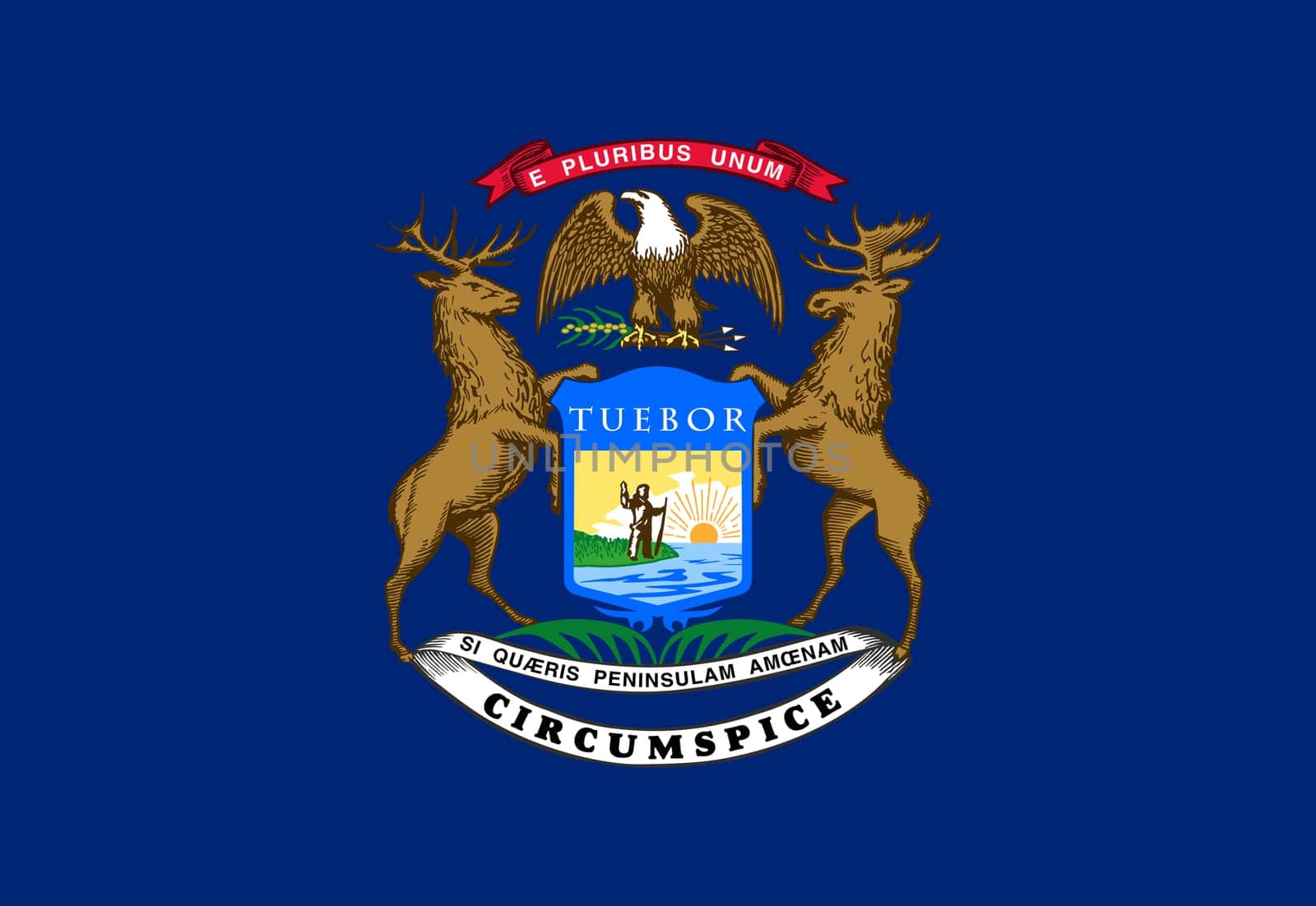 A Michigan State Flag background illustration