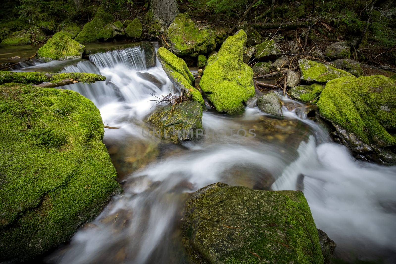 Small river cascade and mossy green rocks in the mountains of north Idaho.