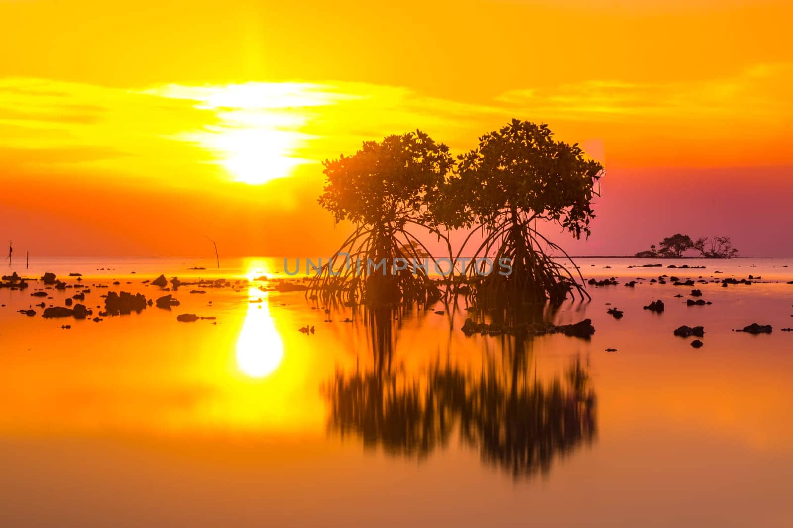 Sunset at the rocky beach with mangroves as the foreground objects in Madura, Indonesia.