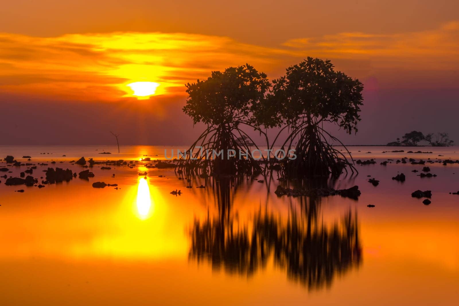 Sunset at the rocky beach with mangroves as the foreground objects in Madura, Indonesia.
