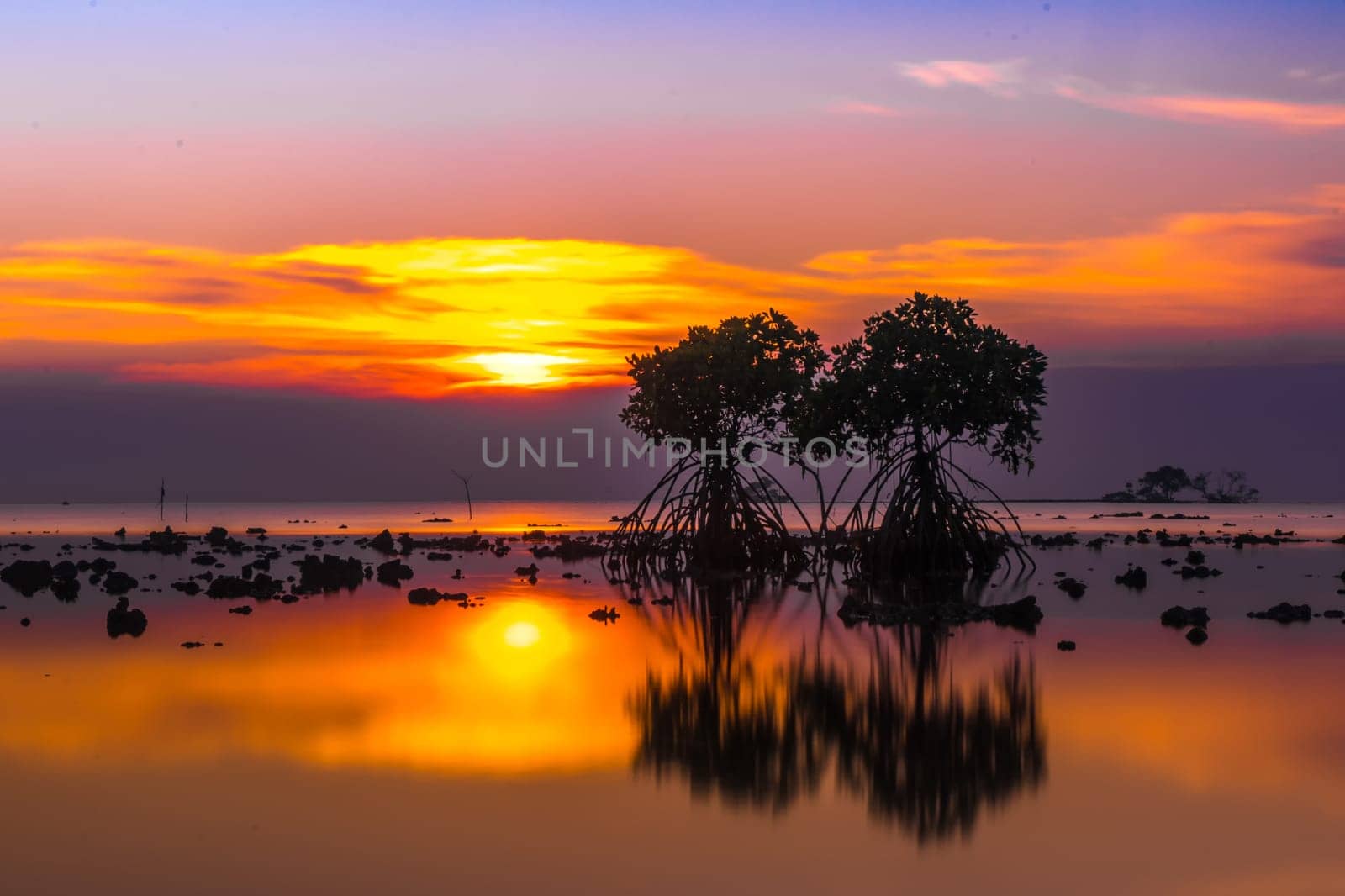 Sunset at the rocky beach with mangroves as the foreground objects in Madura, Indonesia.