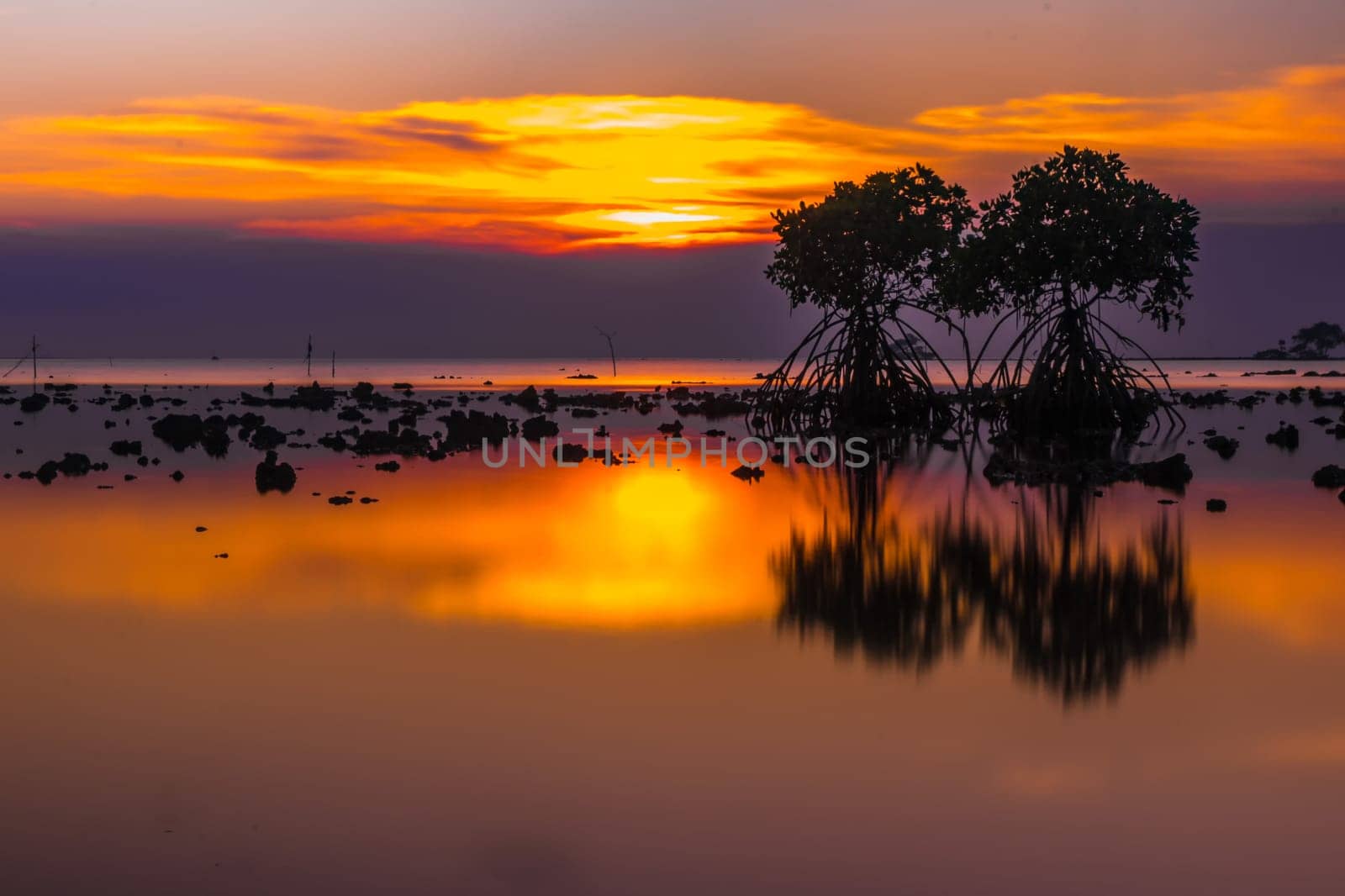 Sunset at the rocky beach with mangroves as the foreground objects in Madura, Indonesia.