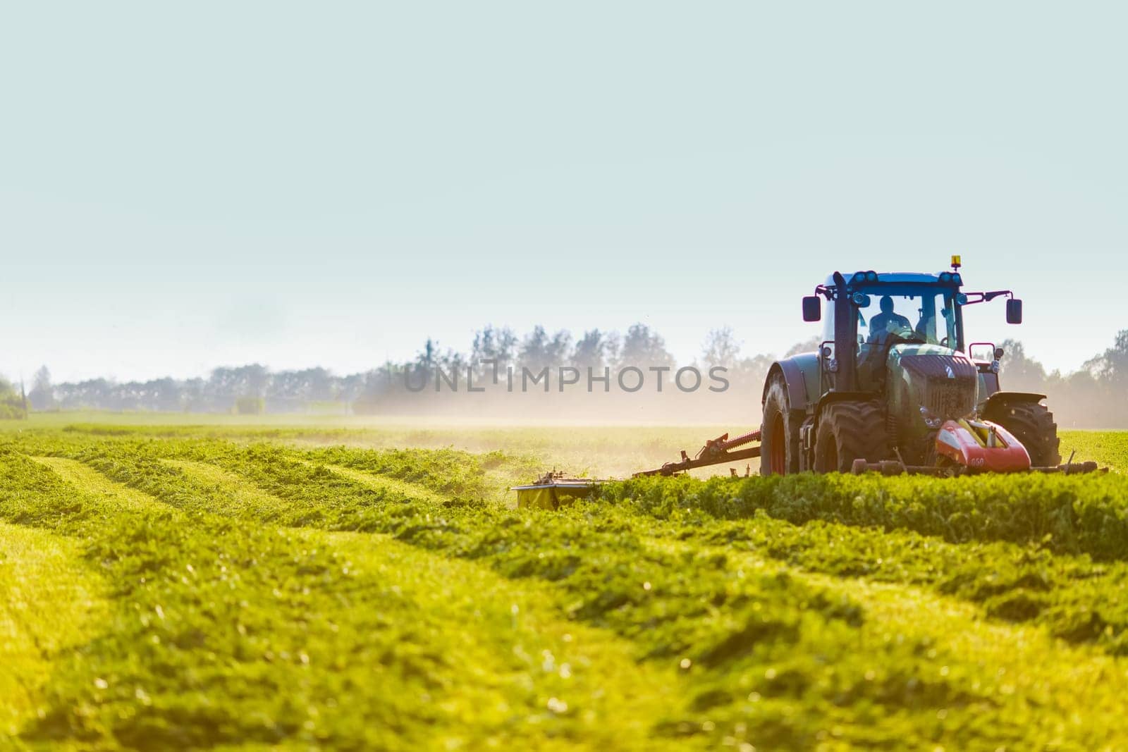 hay making for animals, harvesting green grass for feed with a tractor, agribusiness concept, animal feed