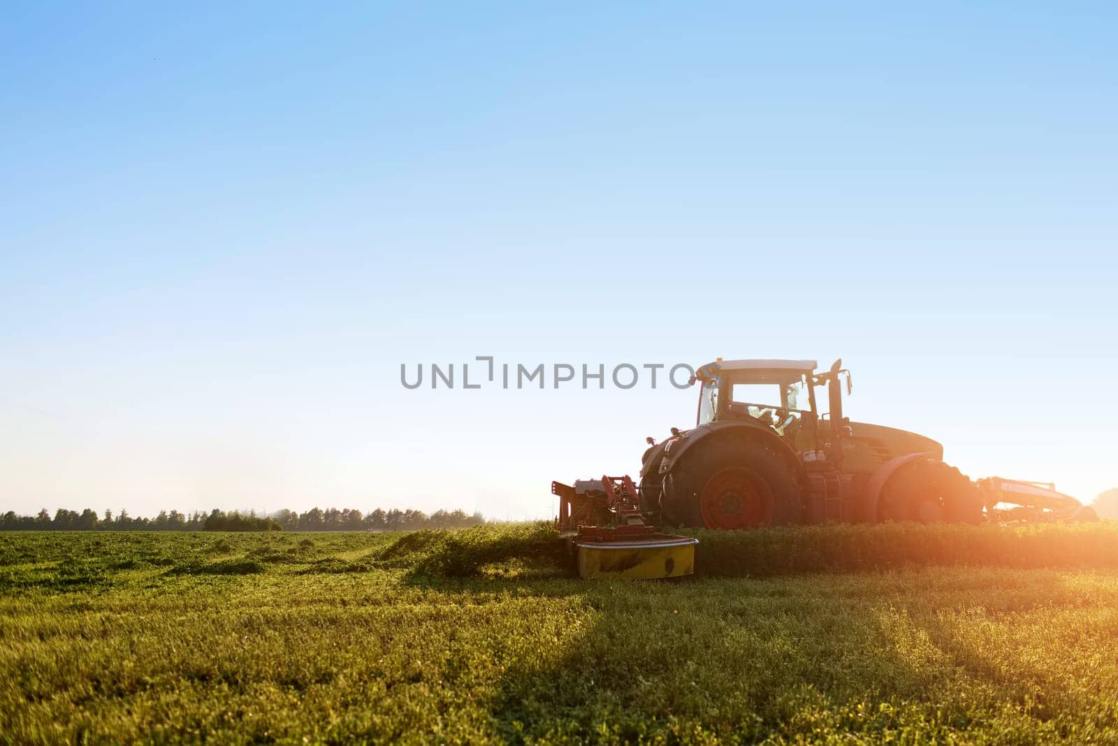 hay making for animals, harvesting green grass for feed with a tractor, agribusiness concept, animal feed