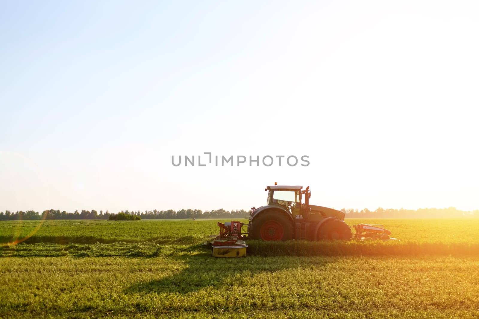 hay making for animals, harvesting green grass for feed with a tractor, agribusiness concept, animal feed
