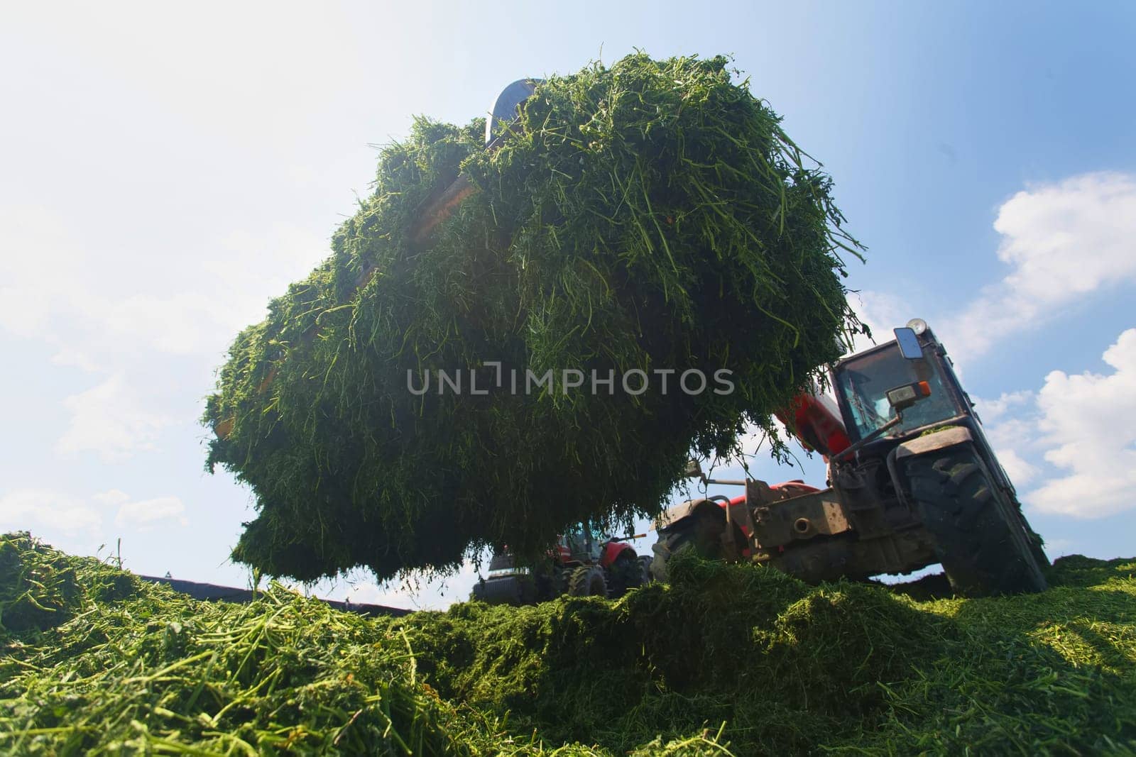 tractor harvesting hay for animals, tractor harvesting green grass for feed, agribusiness concept, animal feed
