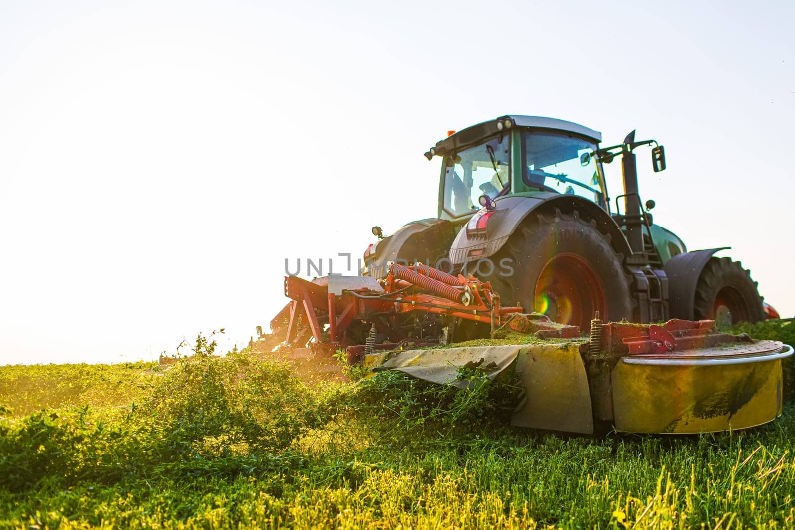 hay making for animals, harvesting green grass for feed with a tractor, agribusiness concept, animal feed
