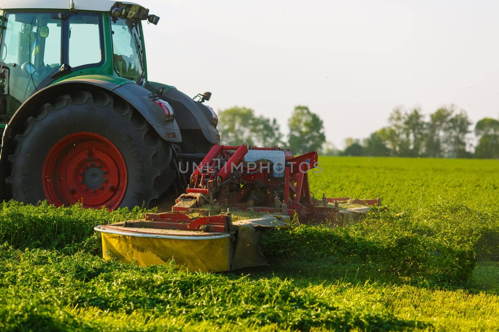 tractor harvesting hay for animals against the background of a field in the warm rays of the sun, agribusiness concept