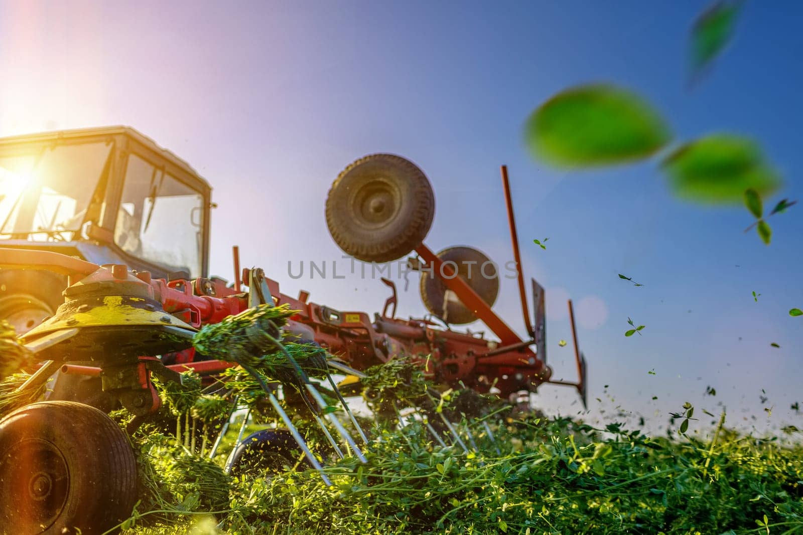 tractor harvesting hay for animals against the background of a field in the warm rays of the sun, agribusiness concept