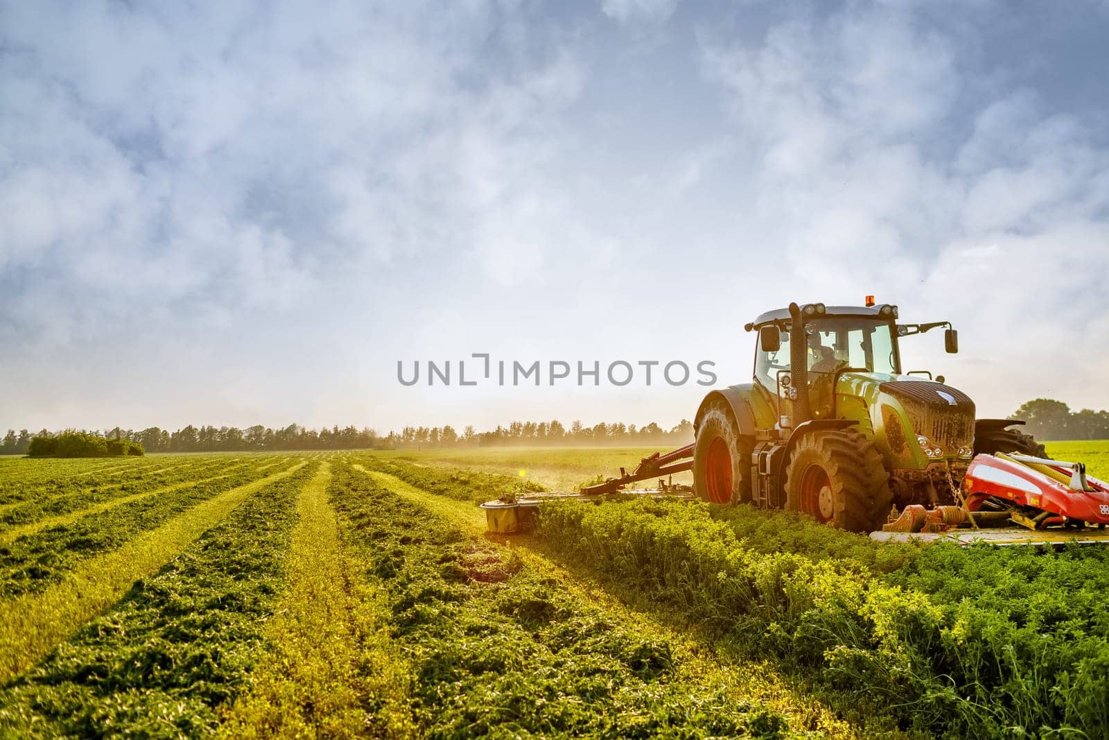 hay making for animals, harvesting green grass for feed with a tractor, agribusiness concept, animal feed