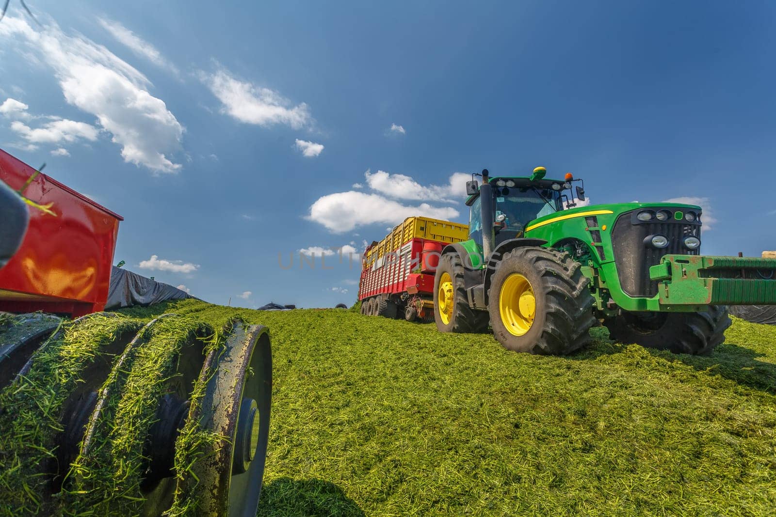 tractor harvesting hay for animals, tractor harvesting green grass for feed, agribusiness concept, animal feed