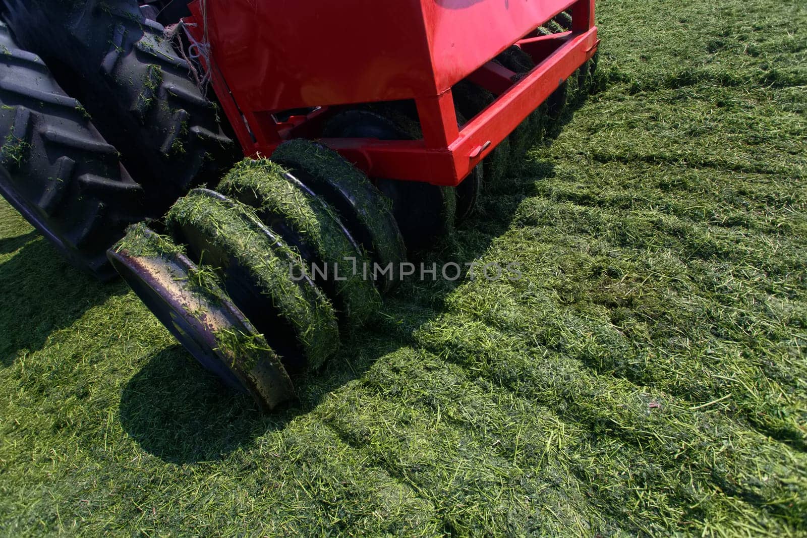 tractor harvesting hay for animals, tractor harvesting green grass for feed, agribusiness concept, animal feed