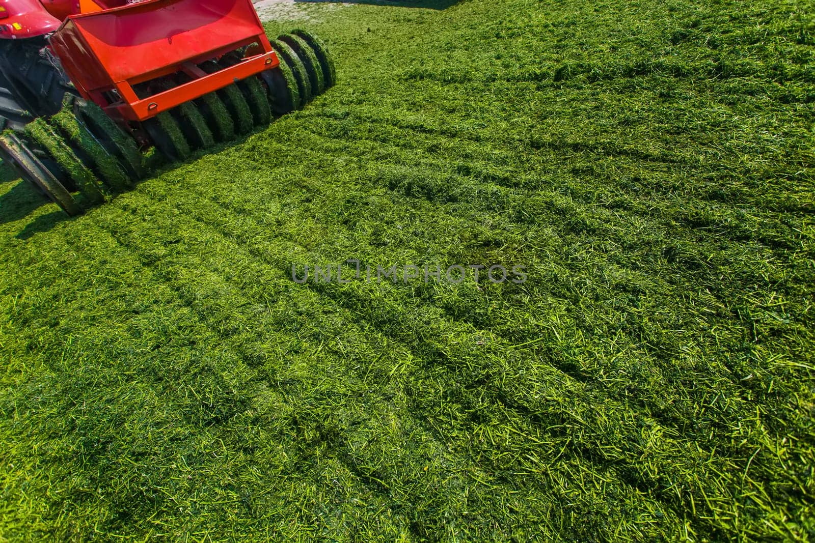 tractor harvesting hay for animals, tractor harvesting green grass for feed, agribusiness concept, animal feed