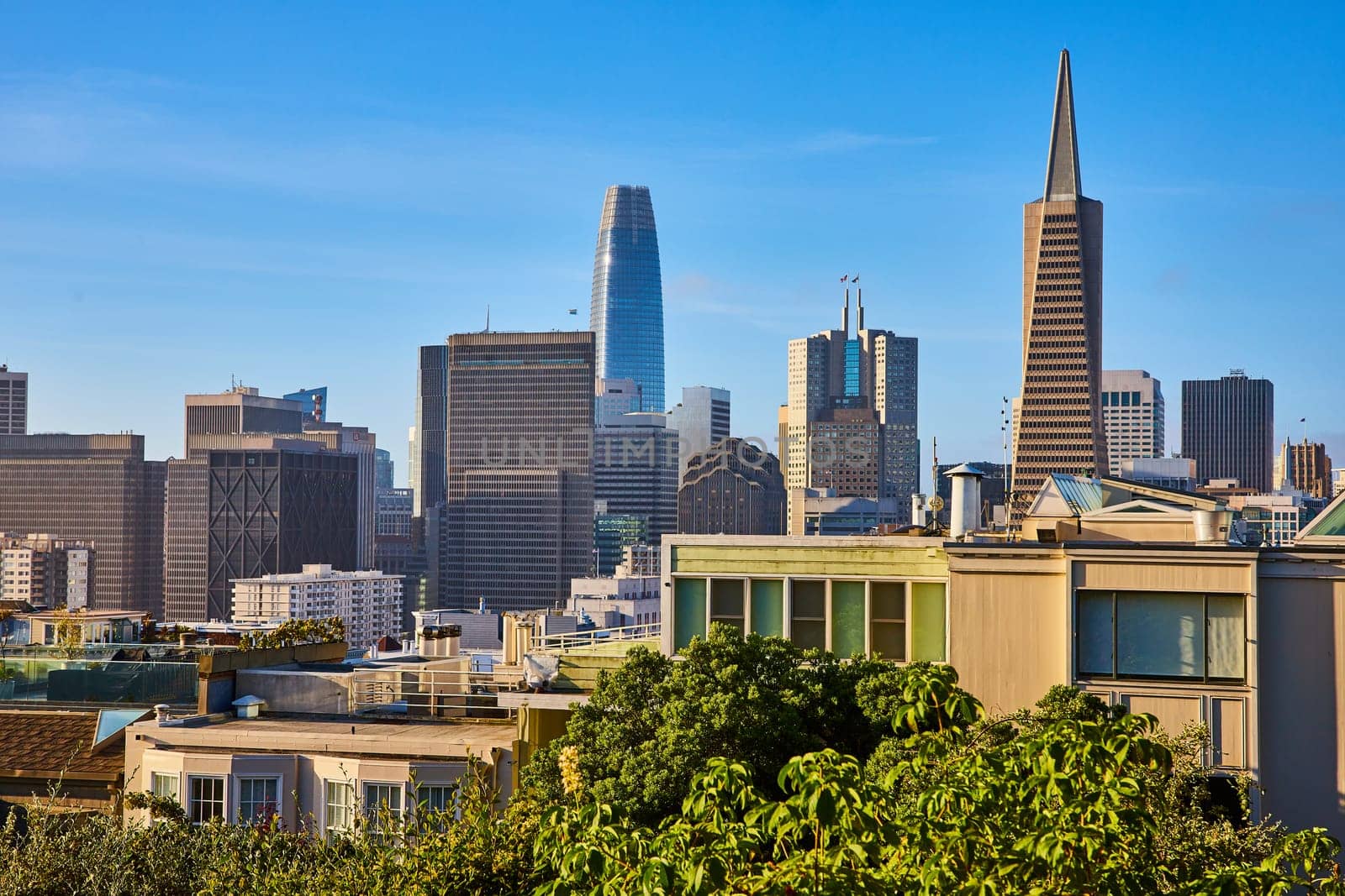 Image of Downtown San Francisco city view from Telegraph Hill on bright summer day