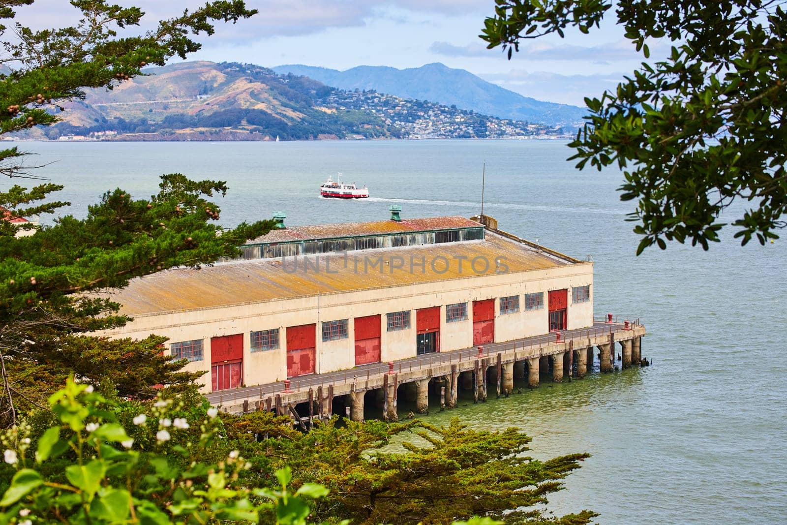 Image of Dock warehouse with boat out on San Francisco Bay waters framed in by green leaves of trees