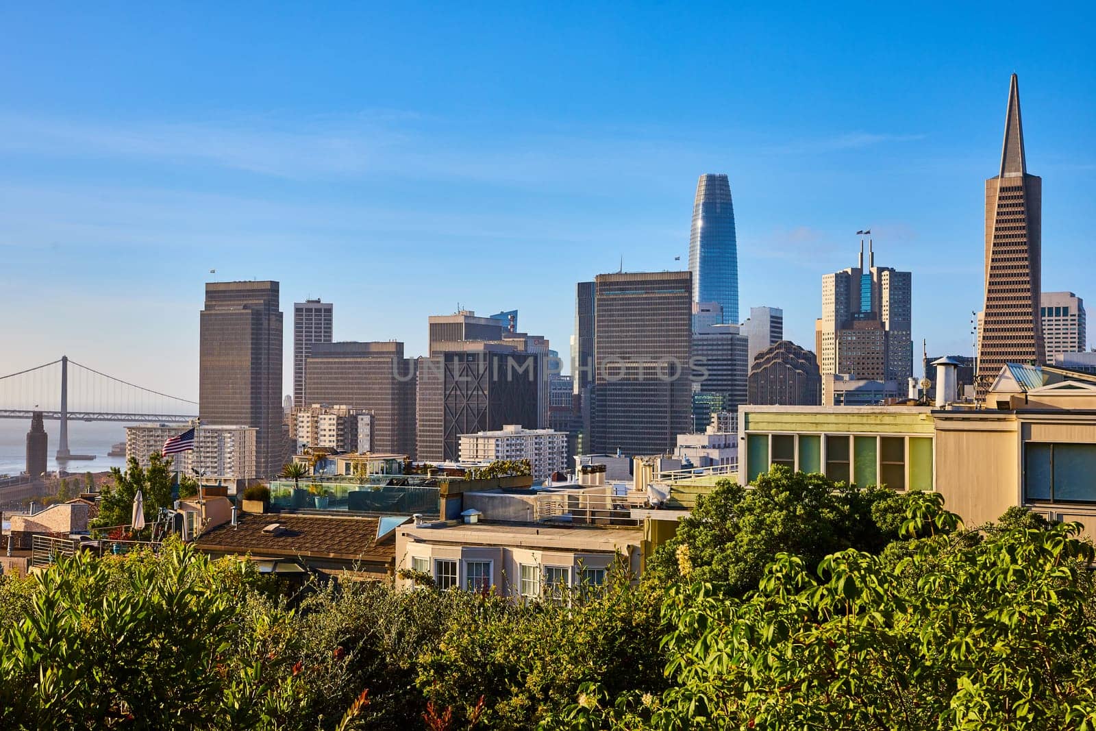 Image of San Francisco downtown city view from Coit Tower on bright summer day