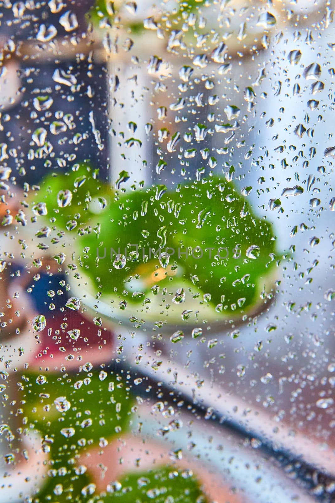 Image of Water droplets on glass with blurry green plant in background