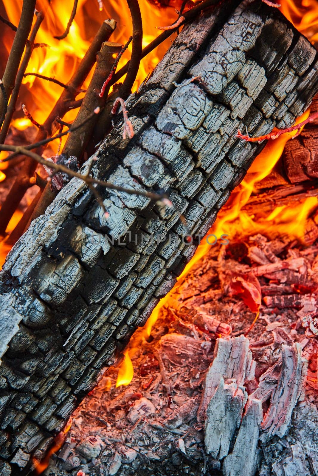 Image of Close up of brightly burning white ashen log with red hot embers below background asset