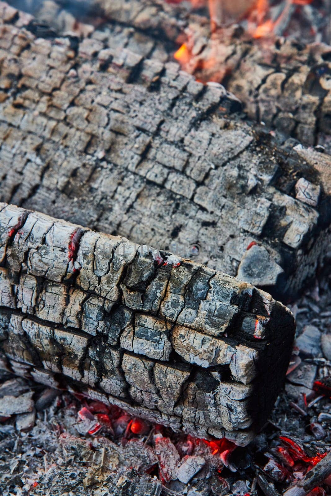 Image of Close up of charred black logs with white cracked ashen surface and small red embers background