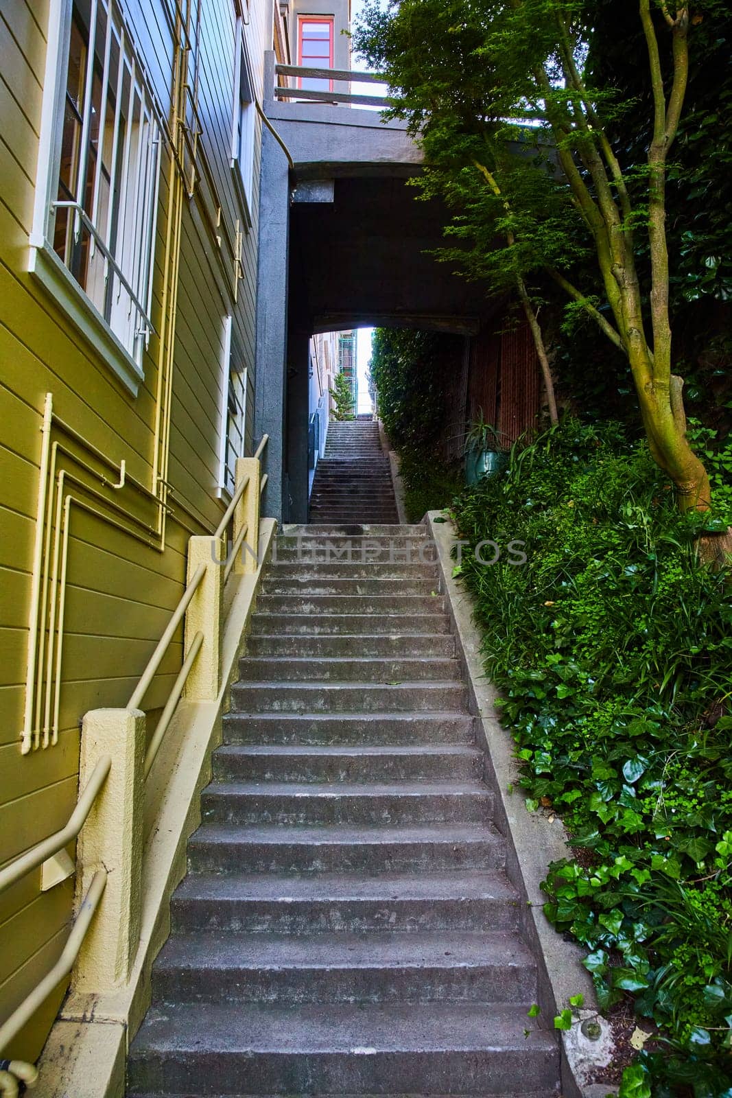 Image of Stairs leading up dark passage between a building and nature