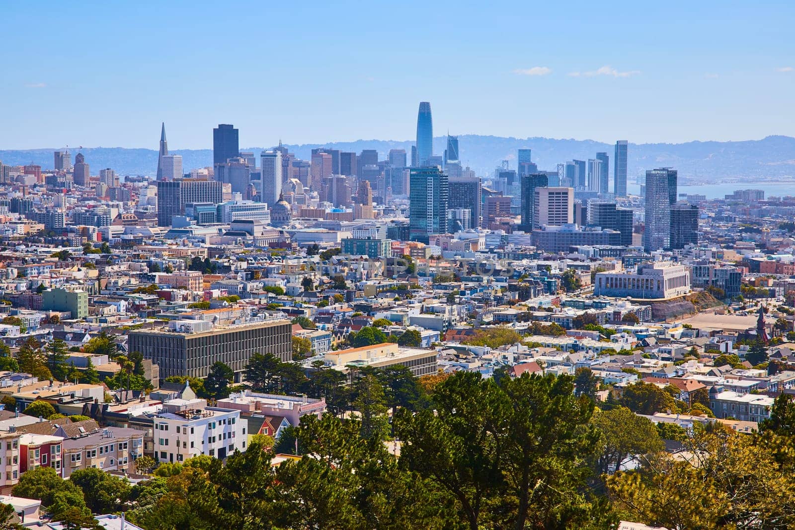 Image of Trees at bottom with backdrop of San Francisco downtown skyscrapers and distant bay waters