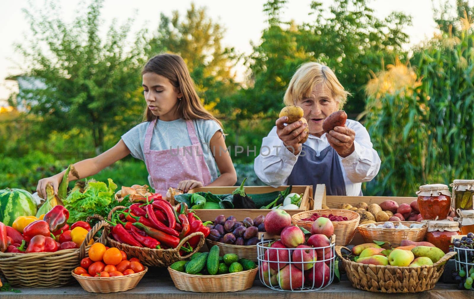 Grandmother and granddaughter sell vegetables and fruits at the farmers market. Selective focus. by yanadjana