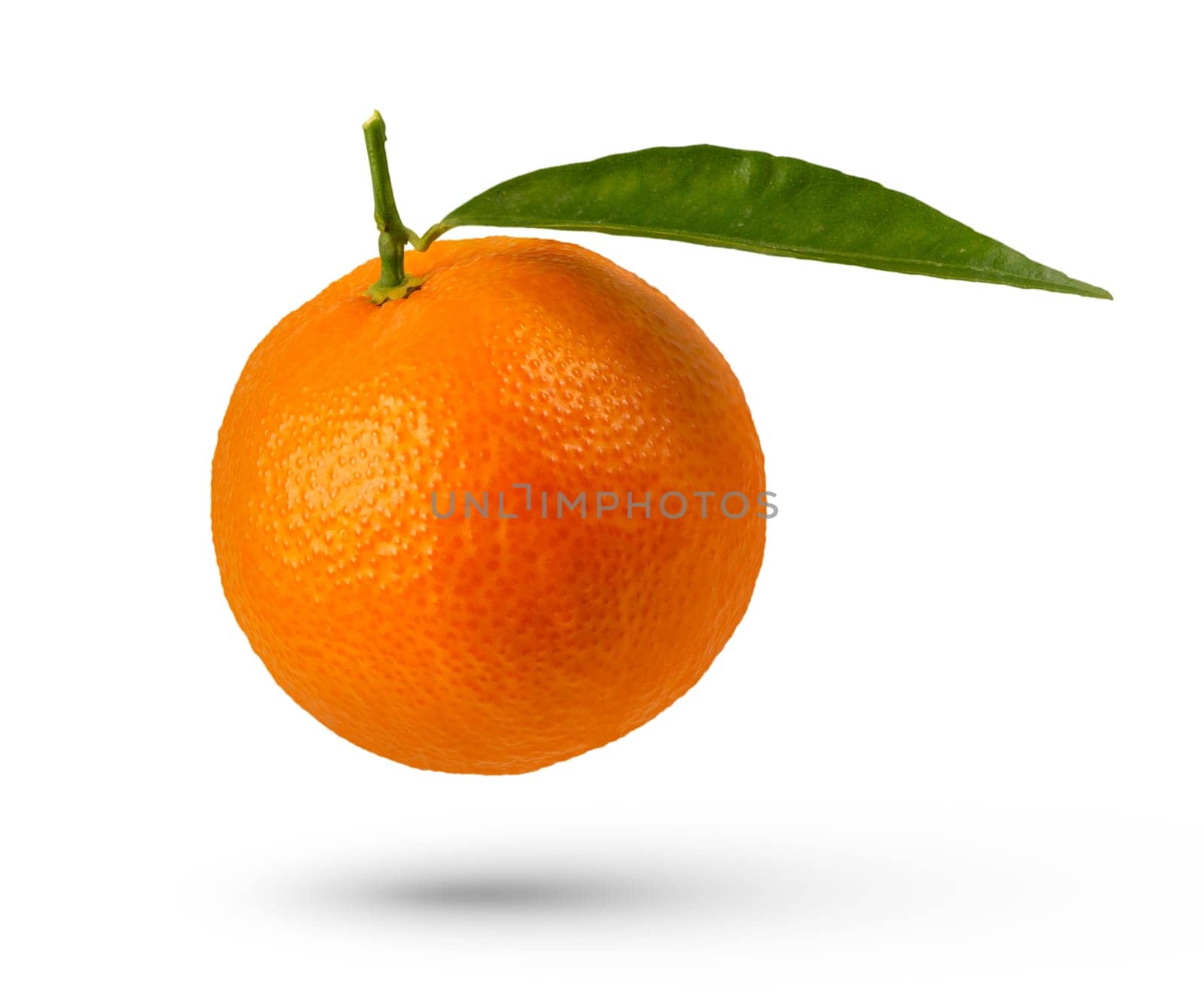 Whole tangerine with leaf on a white isolated background. A tangerine with a leaf hangs or falls casting a shadow close-up. by SERSOL