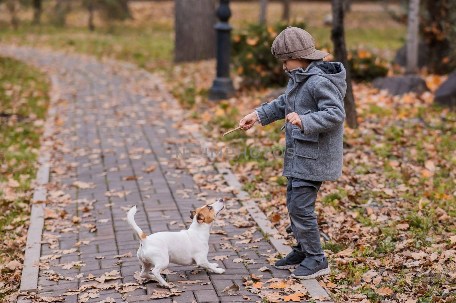 Caucasian boy playing with a dog for a walk in the autumn park