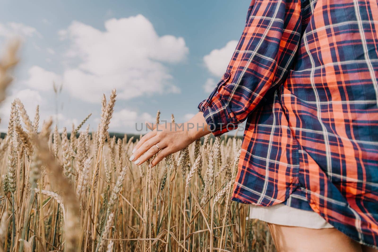 A hand reaches out to touch the golden wheat in a field.