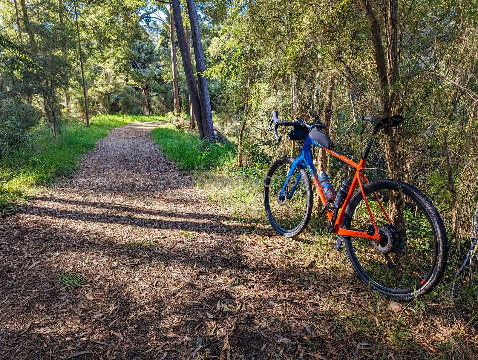 Mt Evelyn Aqueduct Trail Linear Reserve and surrounding landscape on a spring sunny day in Melbourne, Victoria, Australia