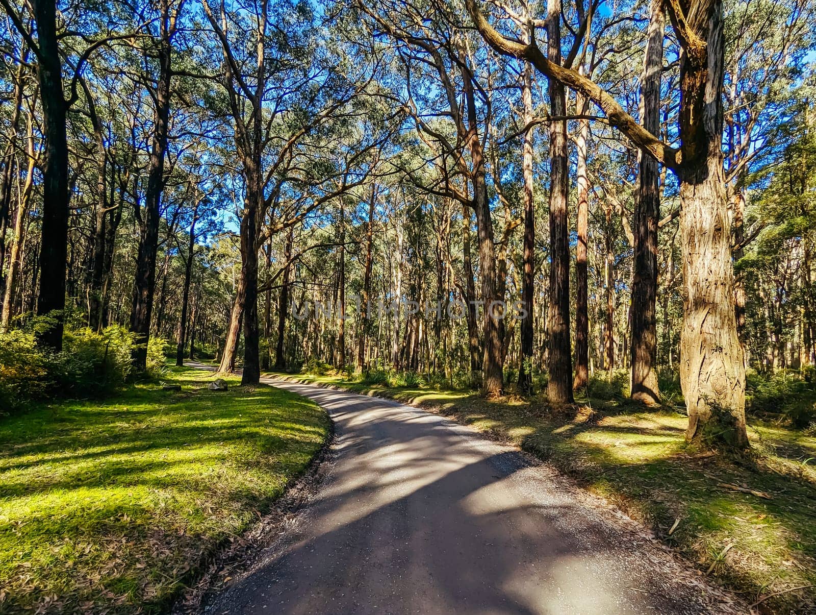 Silvan Rd and surrounding landscape on a spring sunny day in Melbourne, Victoria, Australia