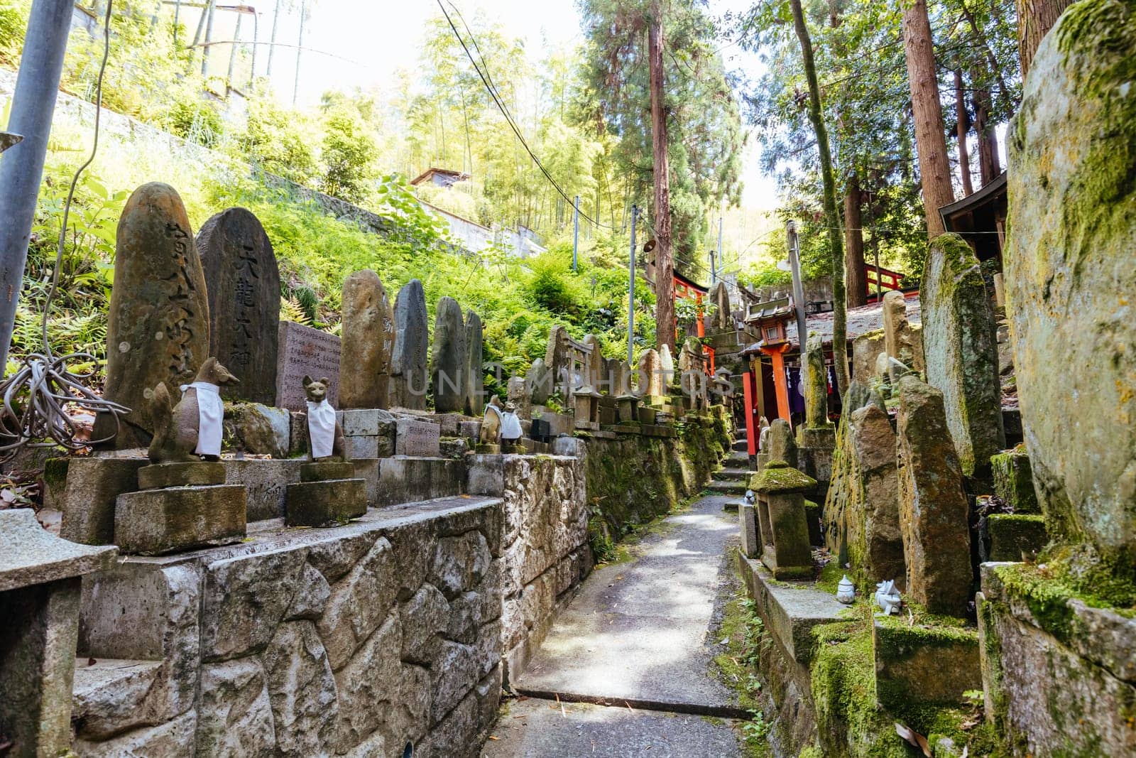 Kyoto, Japan - May 15 2019: Fushimi Inari Shrine in Kyoto, Japan. One of the largest tourist attractions in Japan
