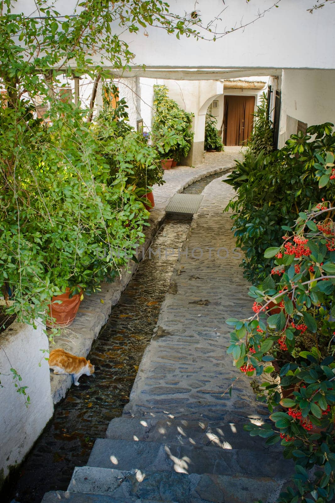 A narrow alley with white walls, greenery, and a cobblestone path with flowing water in the middle, Alpujarras, granada, andalucia, espa a,