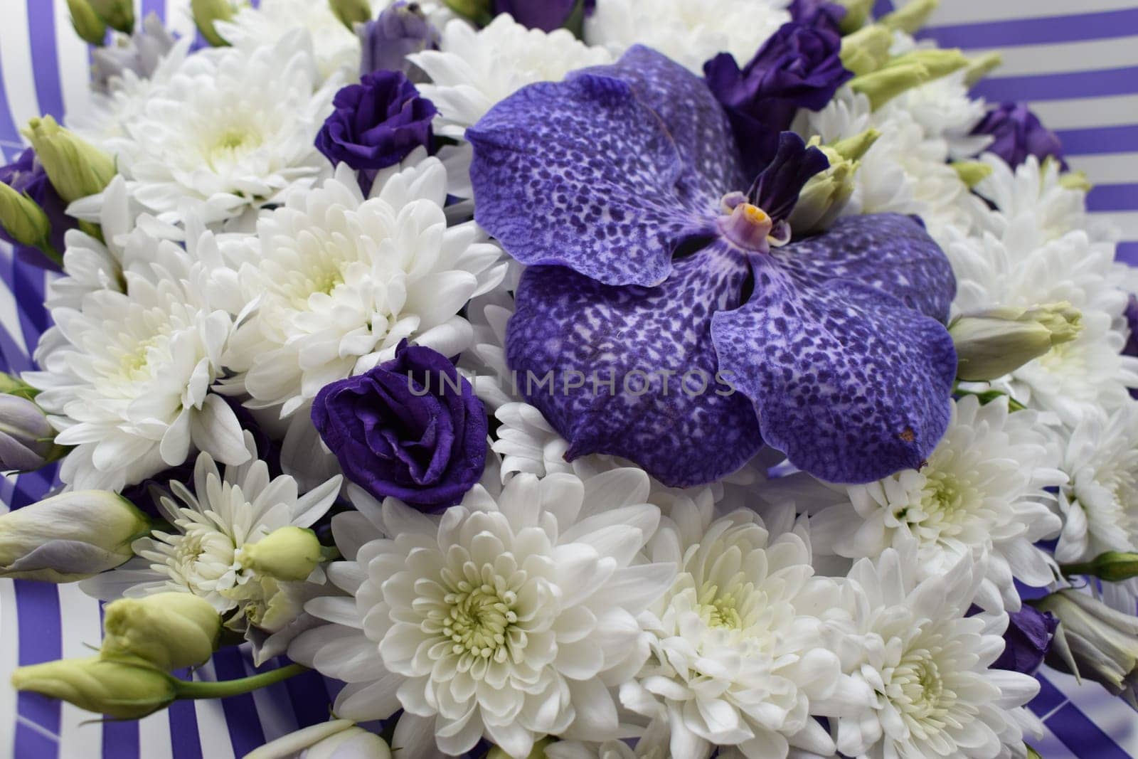 A beautifully designed bouquet of white chrysanthemums and Vanda Sansai Blue Orchid flowers and roses. Top view, close-up.