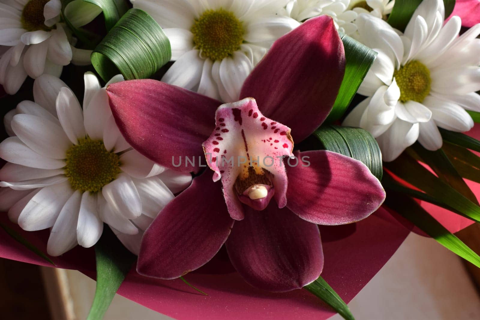 Selective focus of beautiful bouquet of chrysanthemum orchid flowers in pink color. Floral shop concept. Handsome fresh bouquet. Group of purple vanda orchid and white Chrysanthemums