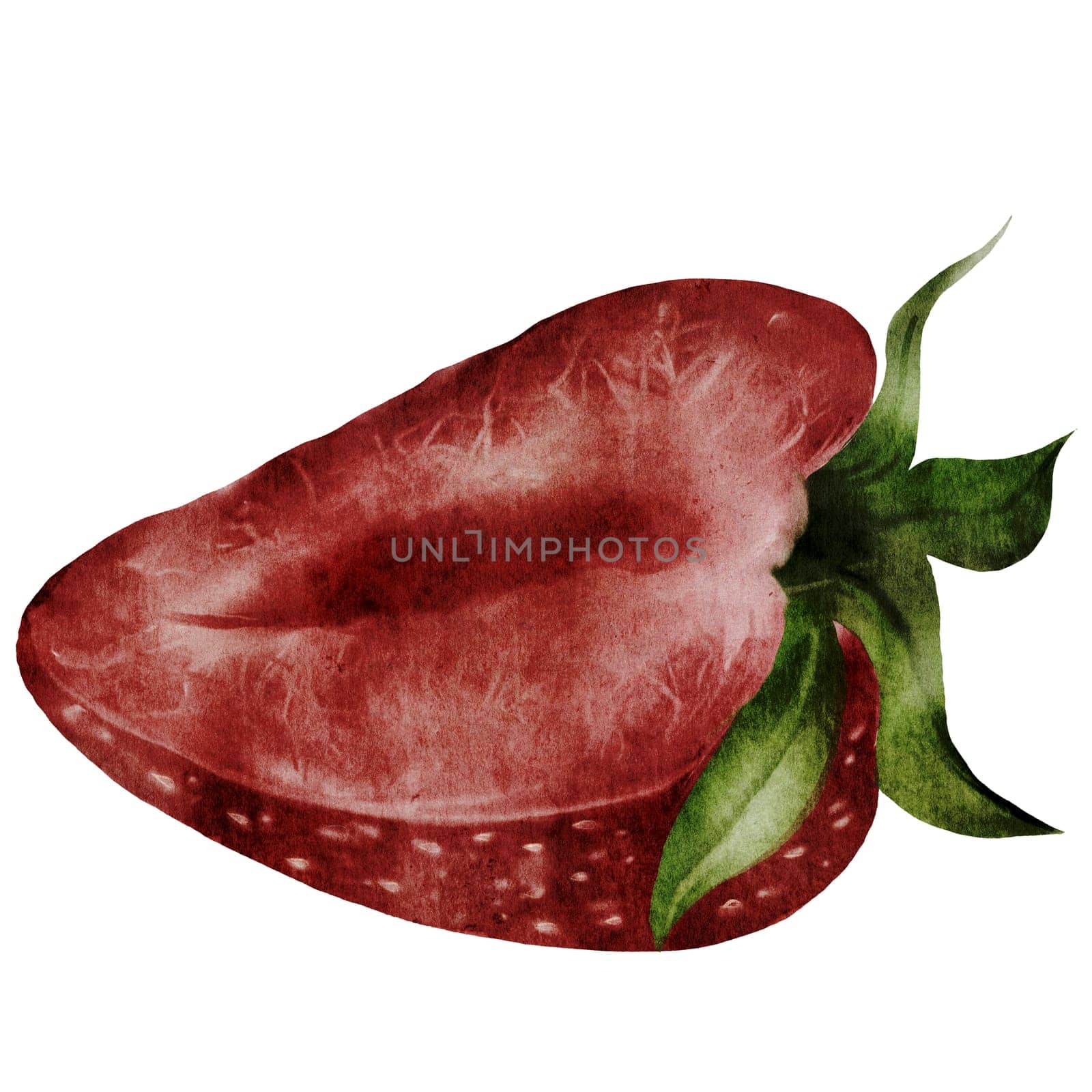 Strawberry watercolor painting.. Hand drawn juicy berry realism on isolated white background. Half cut ripe clip art. Ideal for fresh food packaging and natural cosmetics stores. High quality illustration