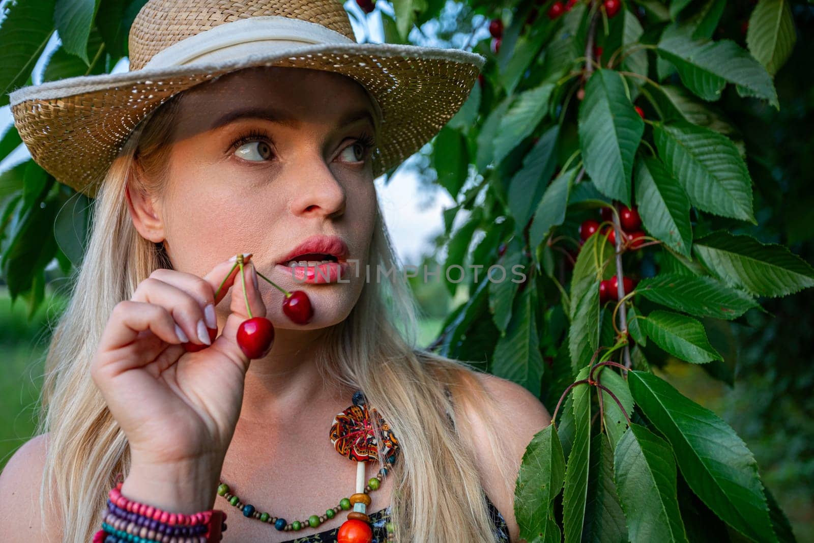 In the warm embrace of summer, a picturesque scene unfolds beneath the boughs of a cherry tree heavy with ripe, ruby-red fruit. A woman with cascading blonde hair gazes sideways, her green eyes alight with anticipation. Lips stained red from cherry juice, she savors the sweet taste of the season's bounty. Clad in summery attire, she exudes an air of effortless elegance, her sun-kissed skin glowing in the golden light. Atop her head sits a straw hat, providing a touch of rustic charm to her ensemble. Around her neck, a necklace adorned with colorful beads adds a playful pop of color, complemented by a matching bracelet adorning her wrist. The cherry tree, a portrait of abundance, stands as a testament to nature's generosity, its leaves a deep shade of verdant green. As the woman basks in the tranquility of the orchard, she knows that the time for cherry-picking has arrived, and she eagerly anticipates filling her basket with nature's sweet treasures. In this idyllic setting, amidst the vibrant hues of summer, the woman finds solace and joy in the simple pleasures of life, embracing the beauty of the moment and the bounty of the earth.