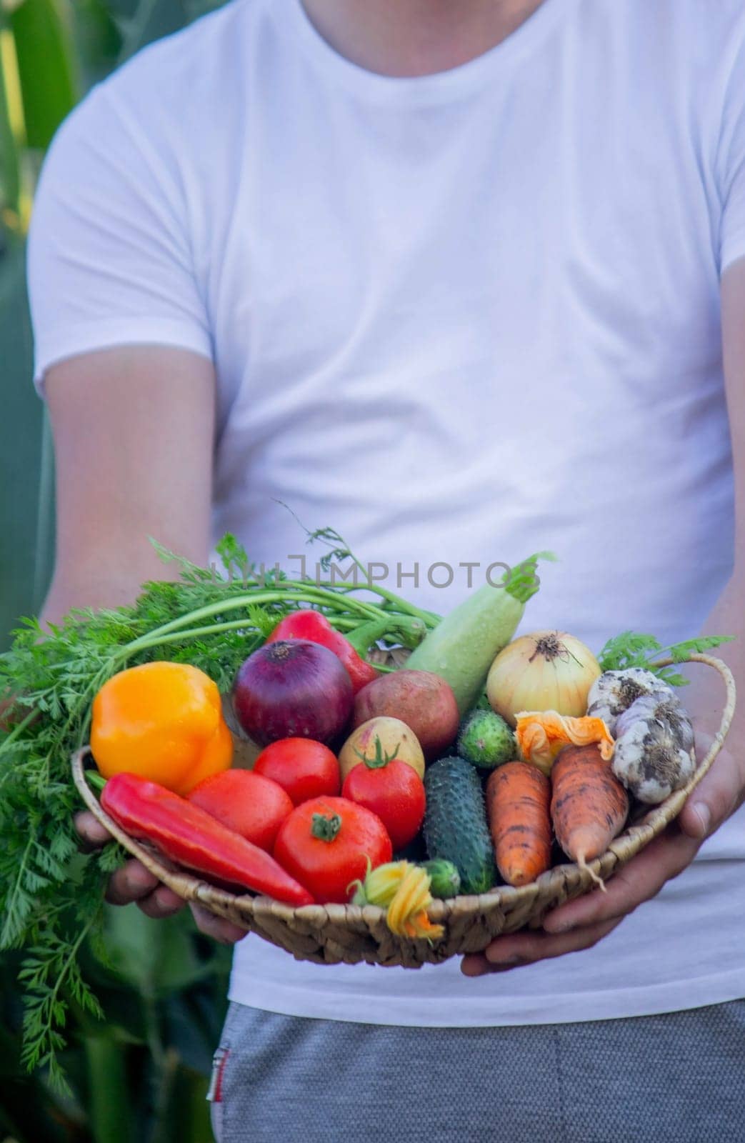 the farmer holds a basket of vegetables in his hands. Selective focus. nature