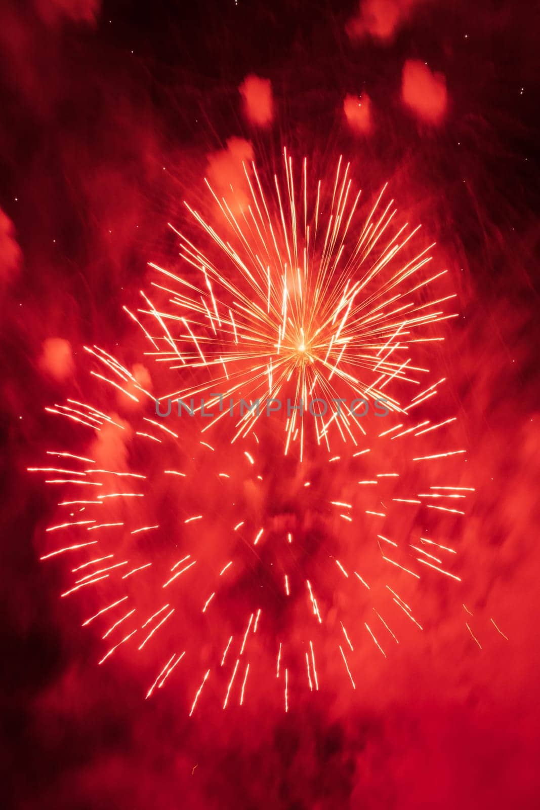 Colorful fireworks on the black sky background