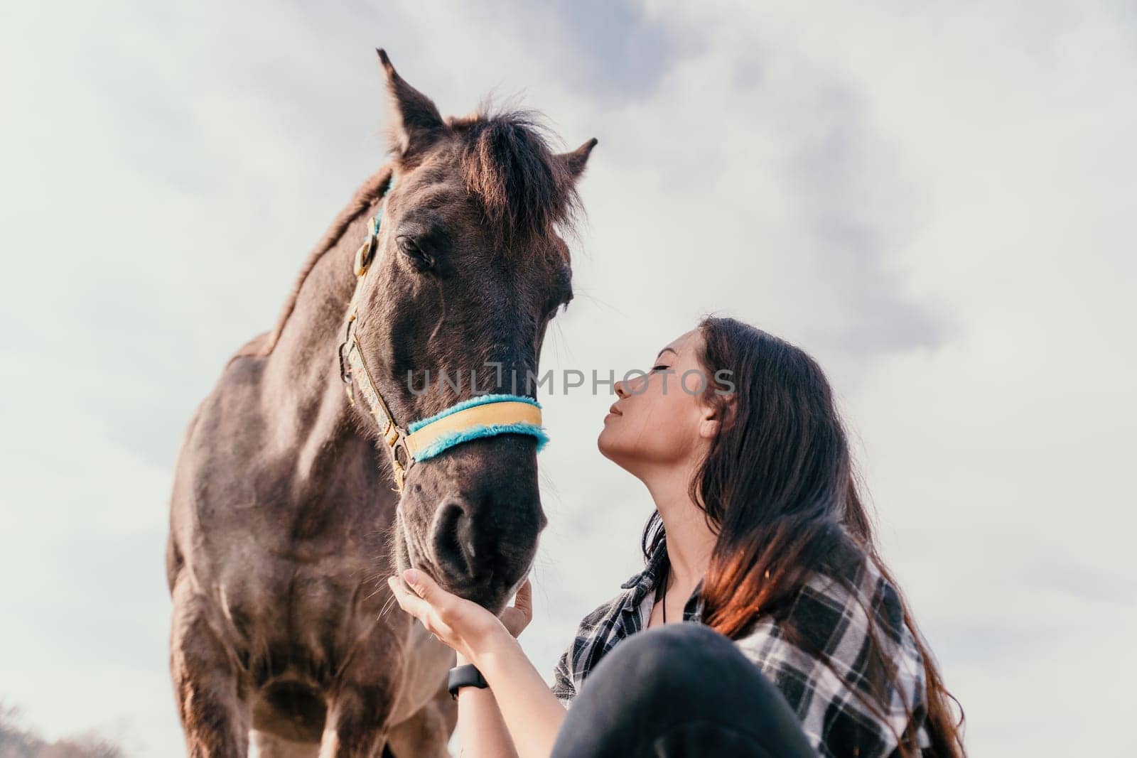 Cute happy young woman with horse. Rider female drives her horse in nature on evening sunset light background. Concept of outdoor riding, sports and recreation.