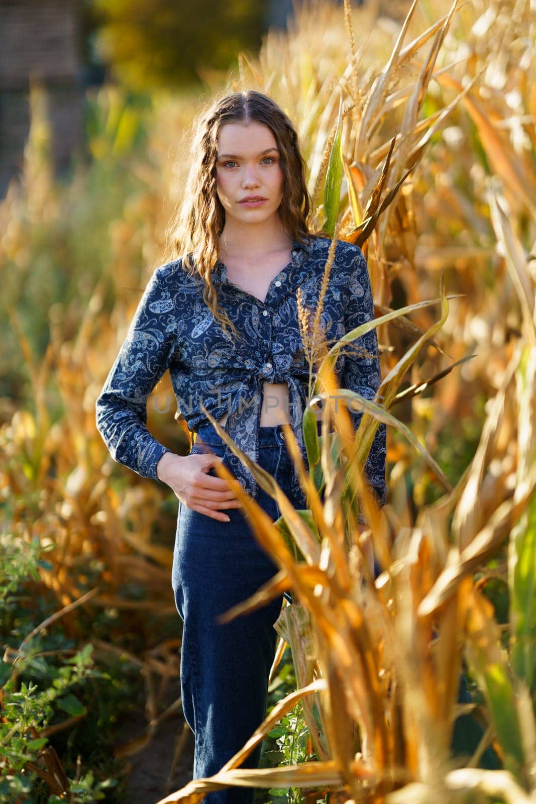 A young woman stands confidently in a vast cornfield, donning a chic and stylish outfit, perfectly complemented by the tall, golden stalks that surround her during a breathtaking sunset