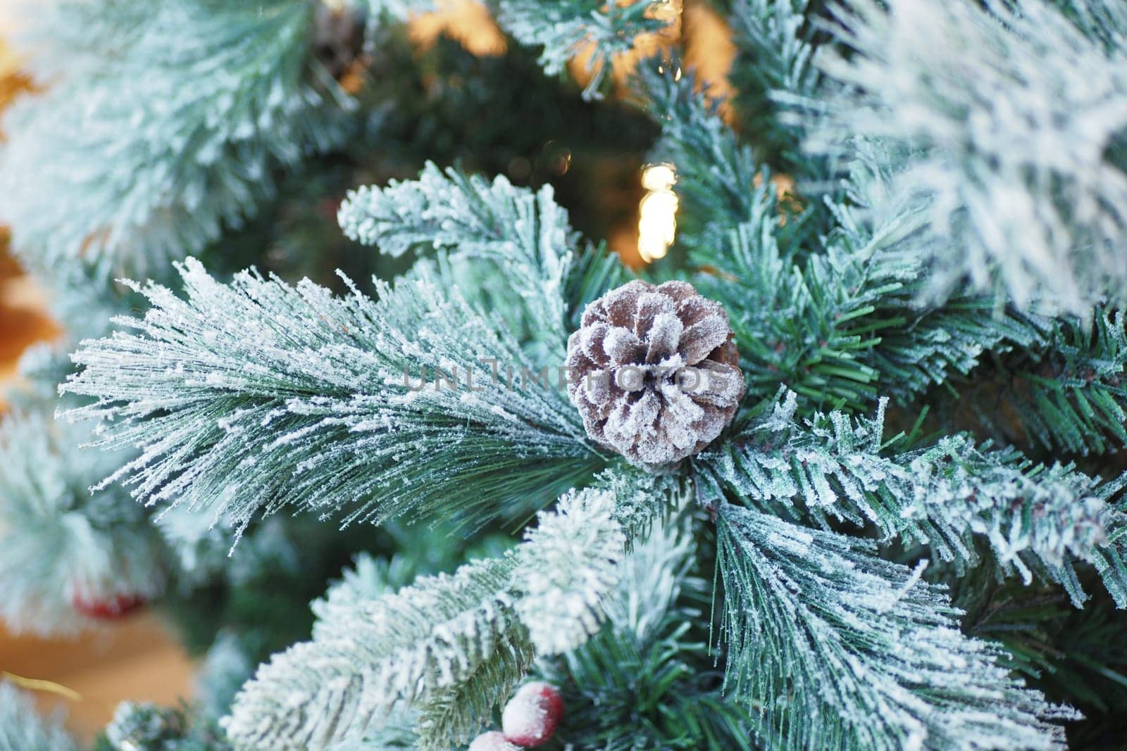 A closeup image of a frosted pine branch with a lovely pine cone, creating a winter scene