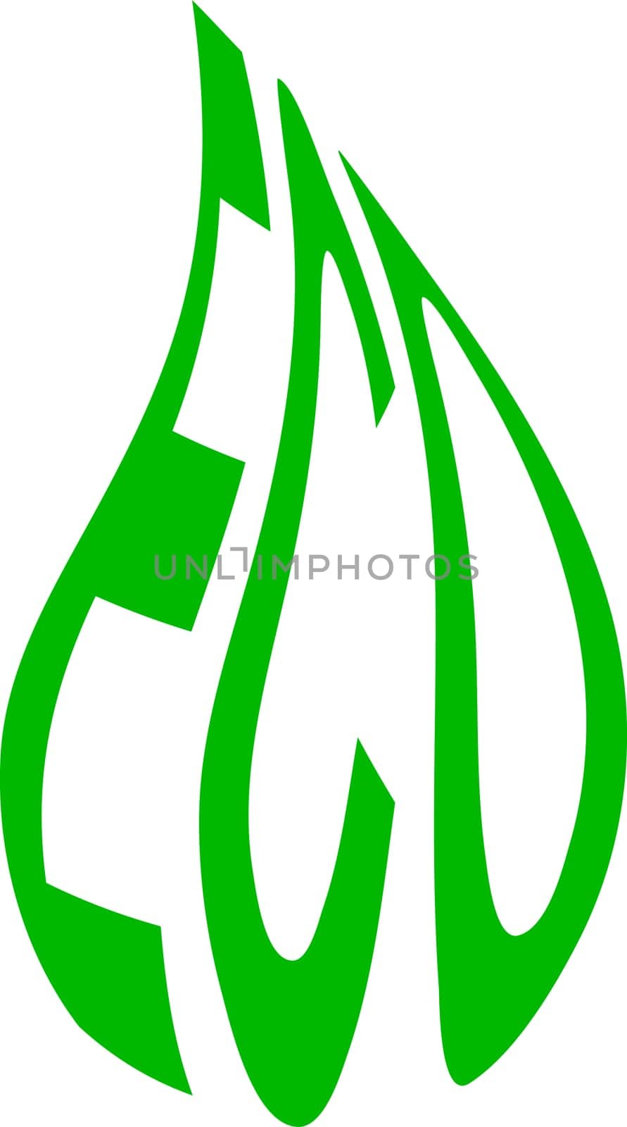 Word eco shape green leaf, eco concept organic food natural