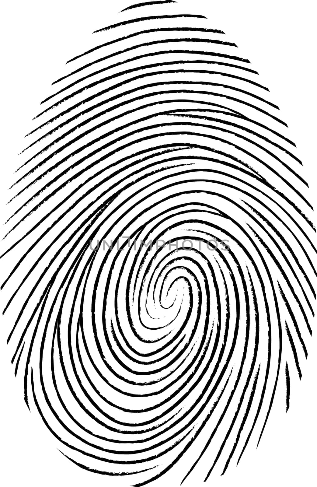 Black fingerprint shape. secure identification. Vector fingerprint illustration by koksikoks