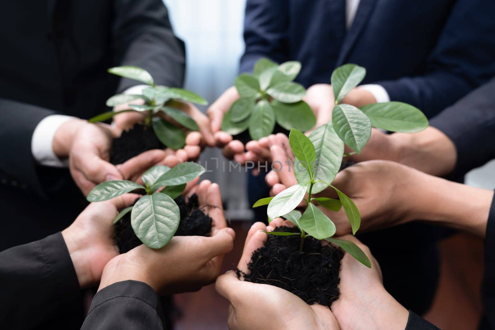 Eco-friendly investment on reforestation by group of business people holding plant together in office promoting CO2 reduction and natural preservation to save Earth with sustainable future. Quaint