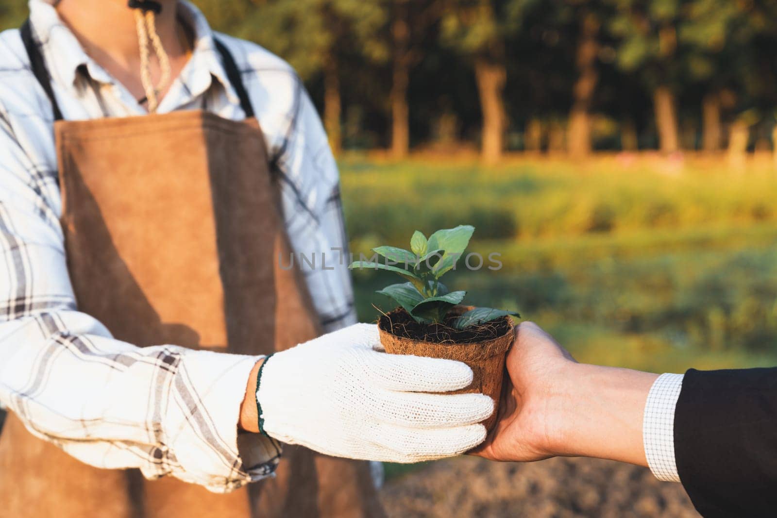 Eco-business company empower farmer with eco-friendly farming practice. Gyre by biancoblue