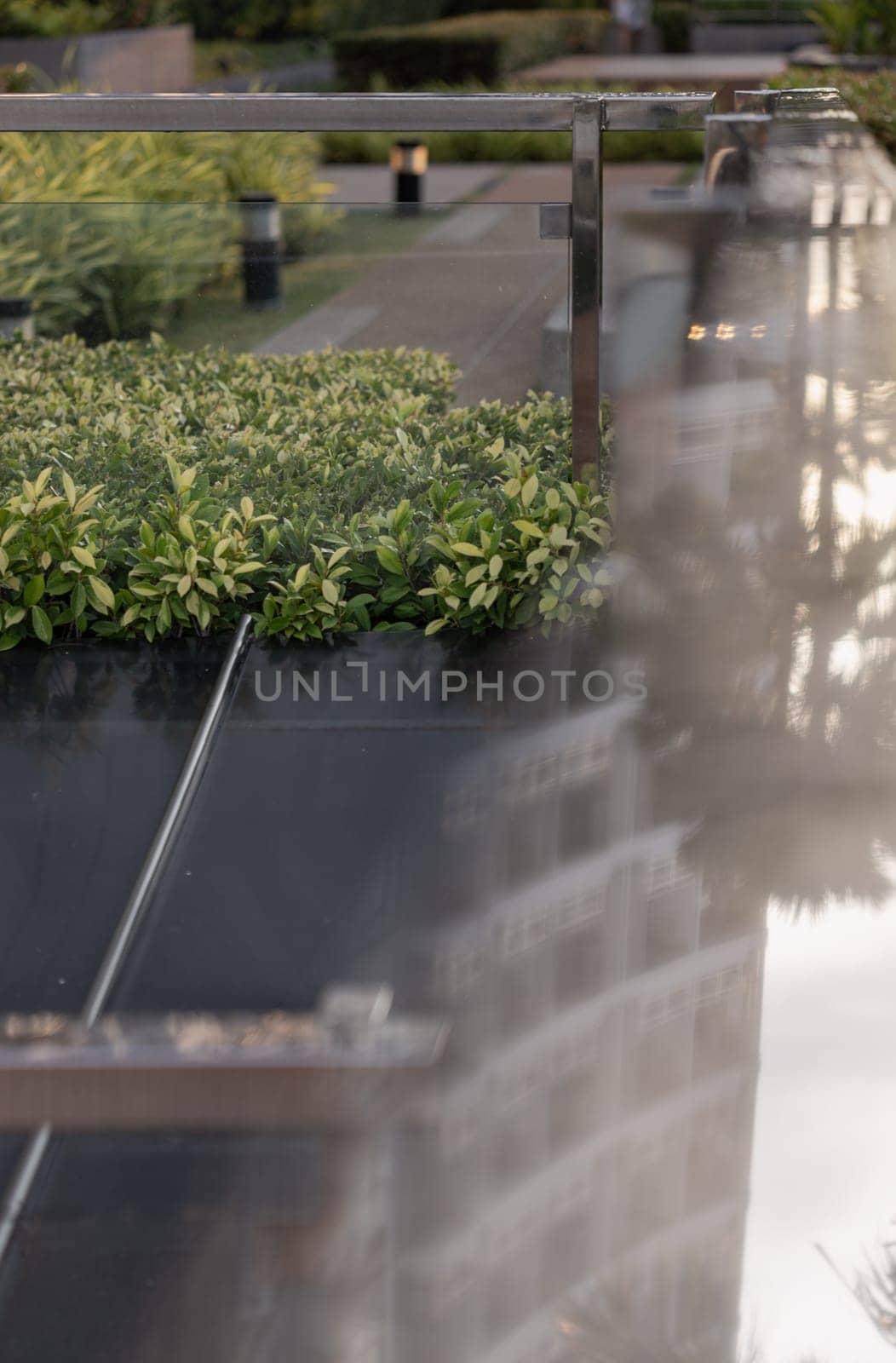 Bangkok, Thailand - 31 Aug, 2024 - Walkway through the park with green trees on rooftop of residential building. Environmental friendly building design. Space for text, Selective focus.