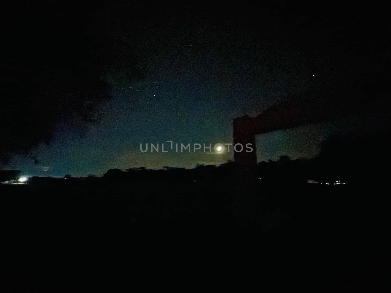 a night sky with trees and stars. High quality photo