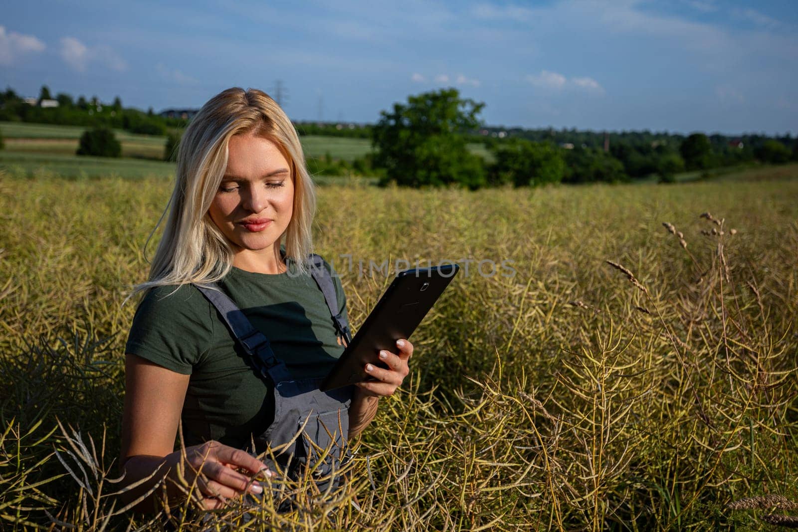 A woman farmer is checking the quality of rapeseed on the middle of the field and holding a tablet. She is checking the information about her harvest. She owns a rapeseed field and is checking this year's harvest. She is an experienced farmer, caring for her crops in a vast field. She has blonde hair and smiles. She is pleased and satisfied with her yields. The soil is fertile and productive. The rapeseed is yellow and ready for harvest. Satisfied with the bountiful and lavish harvest, the woman farmer, adorned in working clothes and with sun-kissed skin, gazes upon the expansive yellow landscape with a sense of fulfillment. With the blue sky adorned with fluffy white clouds overhead, she stands in profile, her spirit merging with the warmth of the sun, celebrating the culmination of her dedication and the richness of the land's yield.